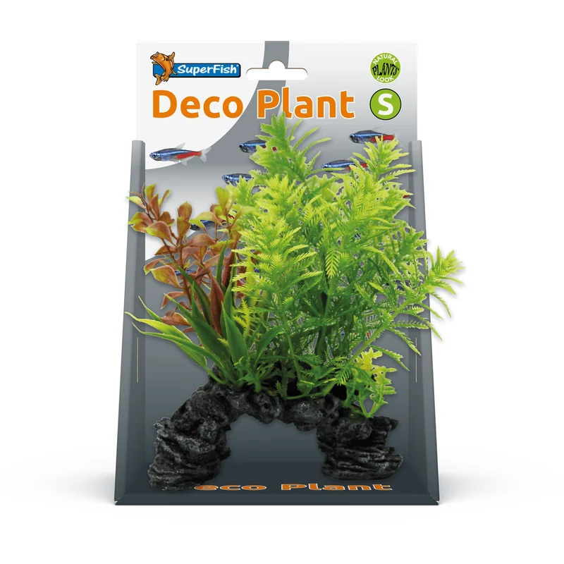 SF Deco Plante S Hottonia