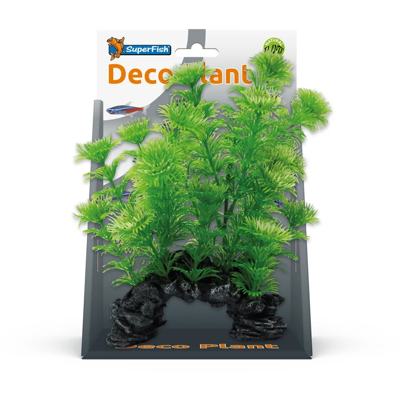 SF Deco Plante S Cabomba