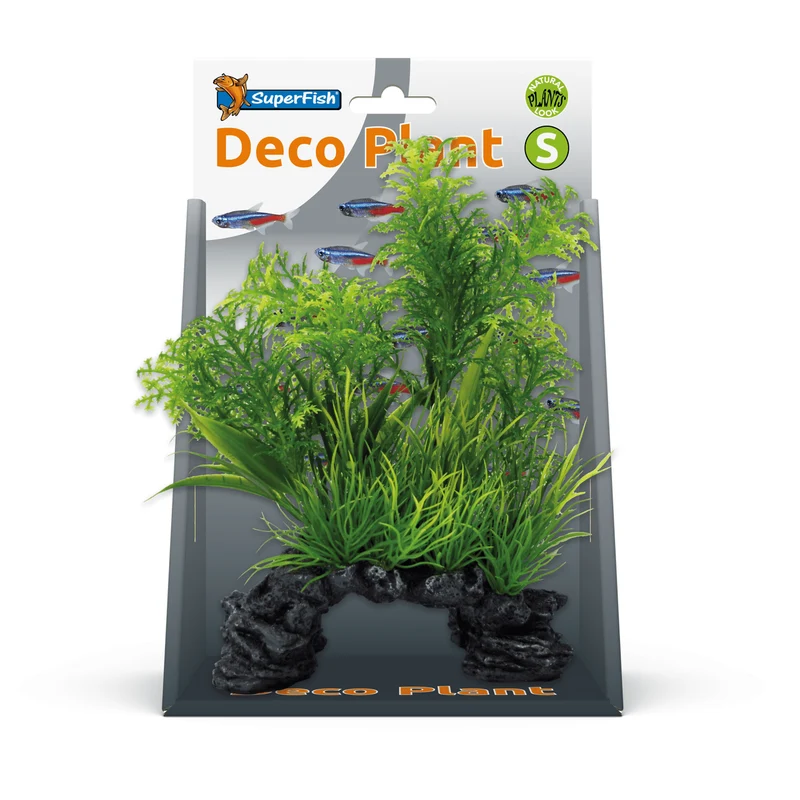SF Deco Plante S Ambulia