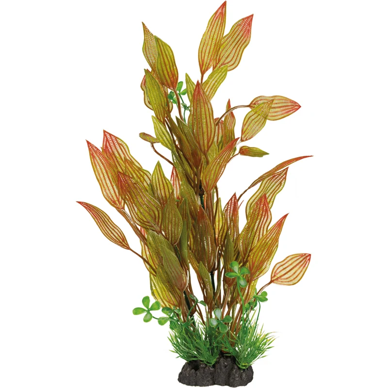 SF Art Plant Henkelianus (40cm)