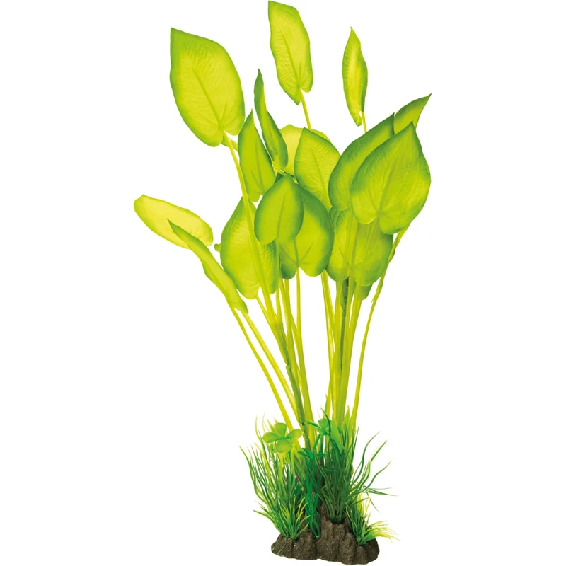 SF Art Plant Echinodorus (40cm)