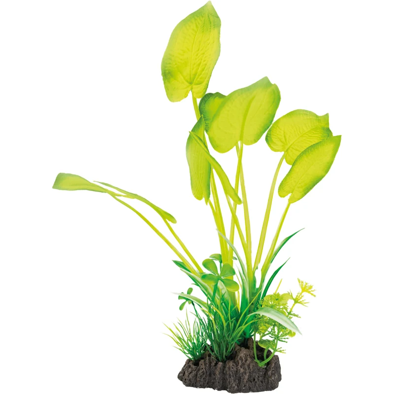 SF Art Plant Echinodorus (25cm)