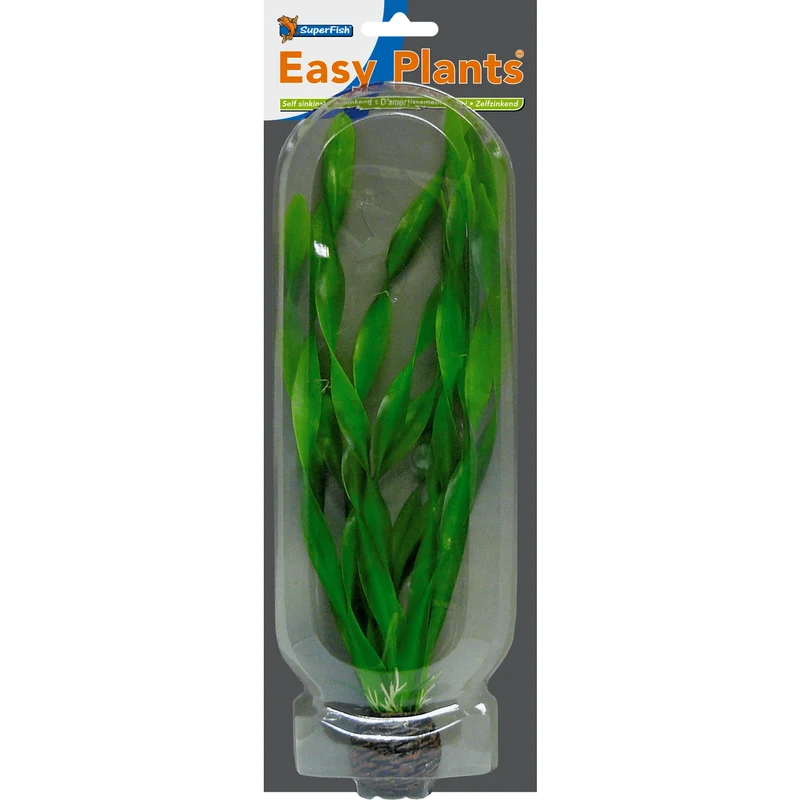 SF Easy Plante haute N°6 (30cm)