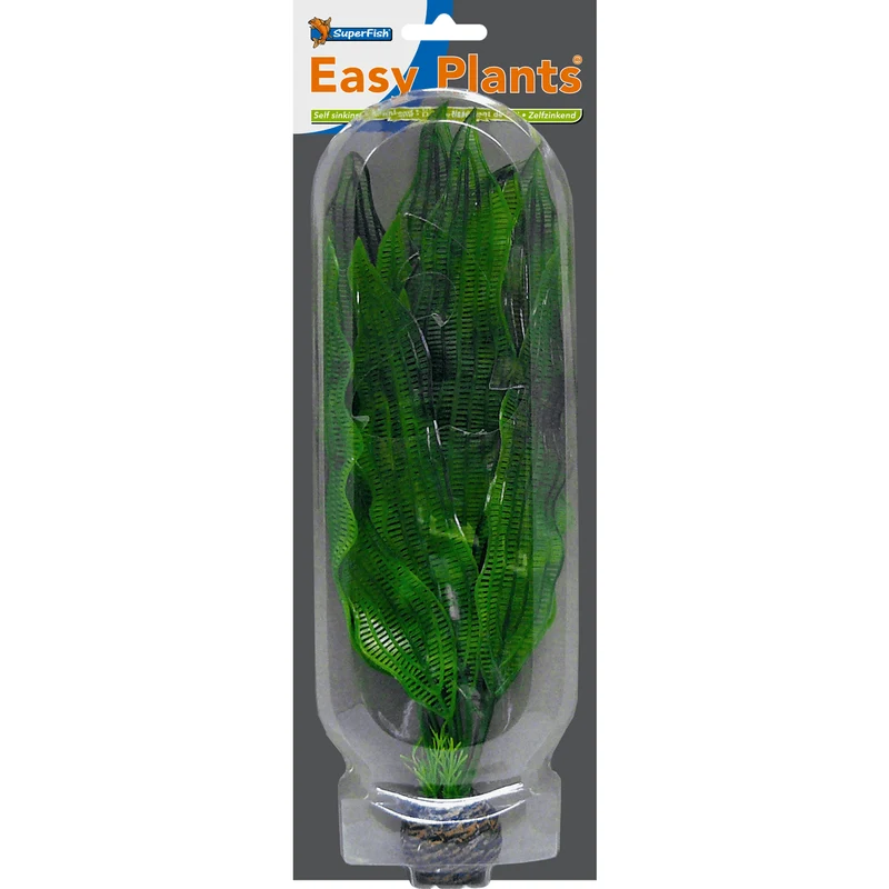 SF Easy Plante haute N°5 (30cm)
