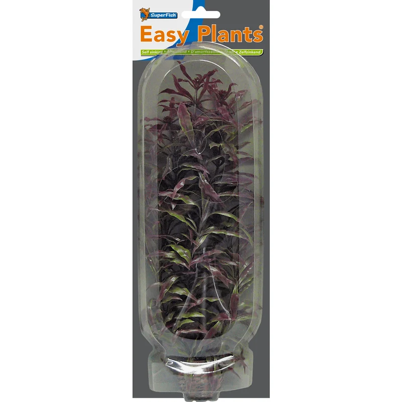 SF Easy Plante haute N°3 (30cm)