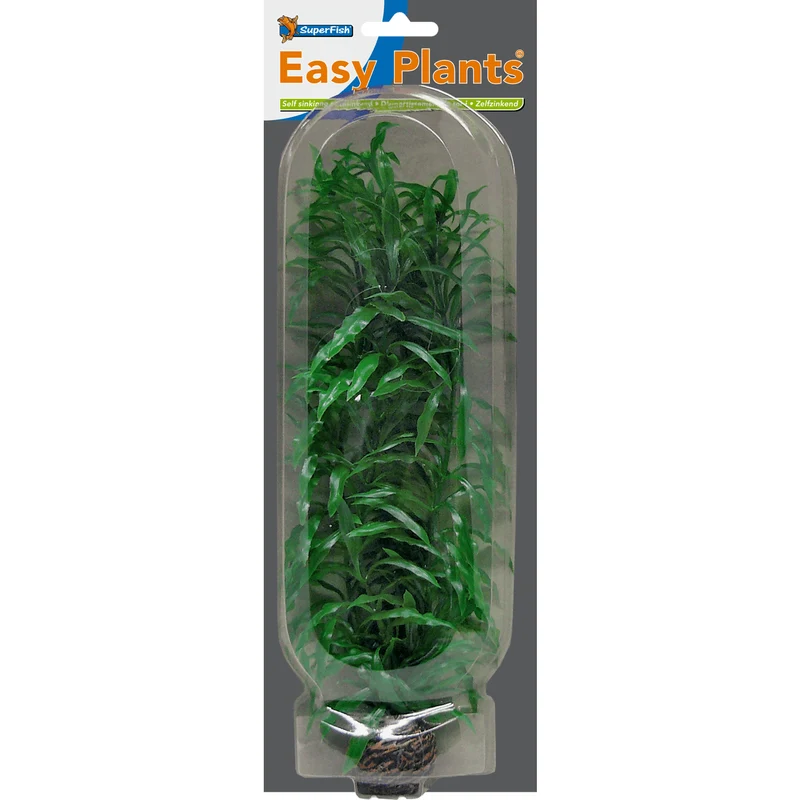 SF Easy Plante haute N°2 (30cm)