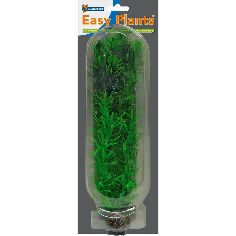 SF Easy Plante haute N°1 (30cm)