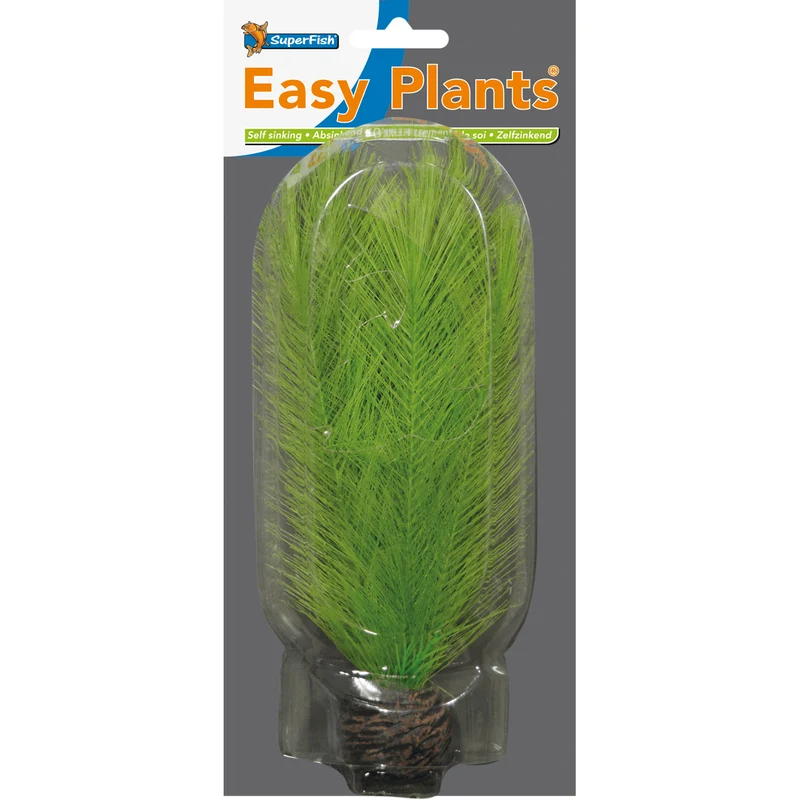 SF Easy Plante soie N°11 (20cm)