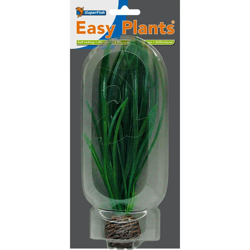 SF Easy Plante moyenne N°8 (20cm)