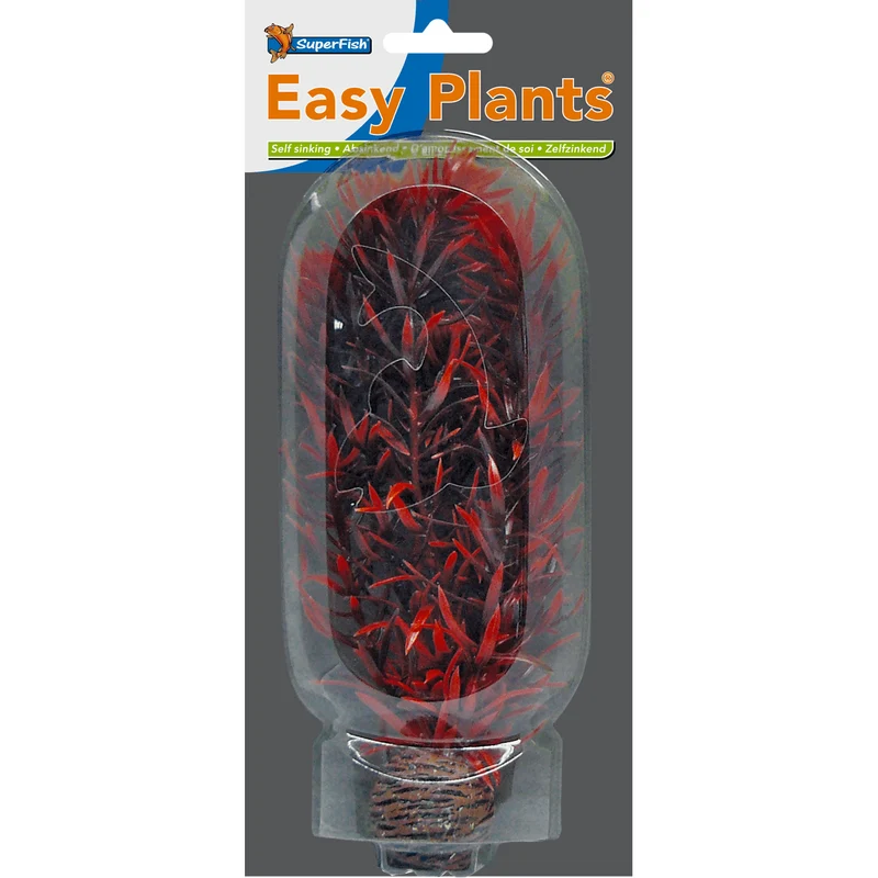 SF Easy Plante moyenne N°7 (20cm)
