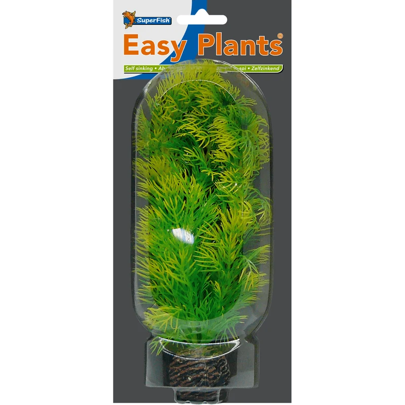 SF Easy Plante moyenne N°5 (20cm)
