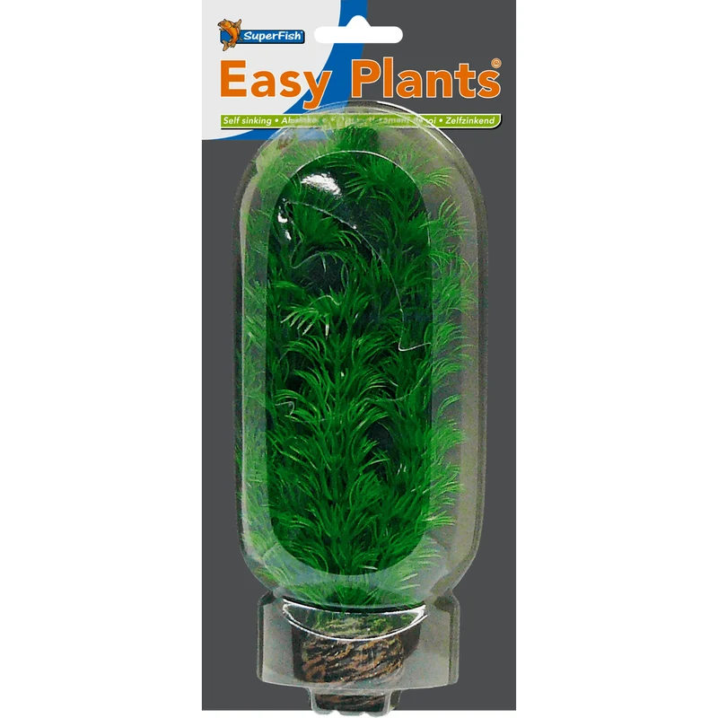 SF Easy Plante moyenne N°4 (20cm)