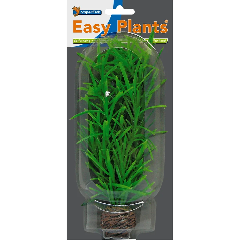 SF Easy Plante moyenne N°3 (20cm)