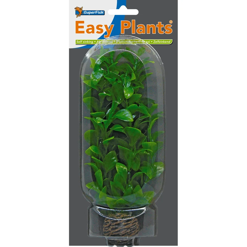 SF Easy Plante moyenne N°2 (20cm)