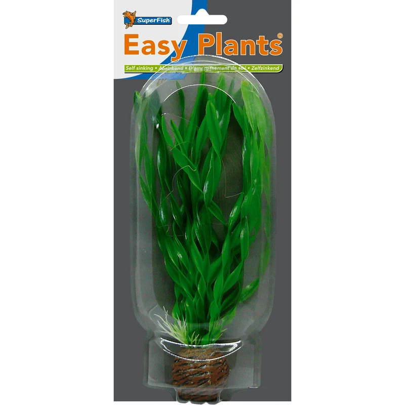 SF Easy Plante moyenne N°1 (20cm)