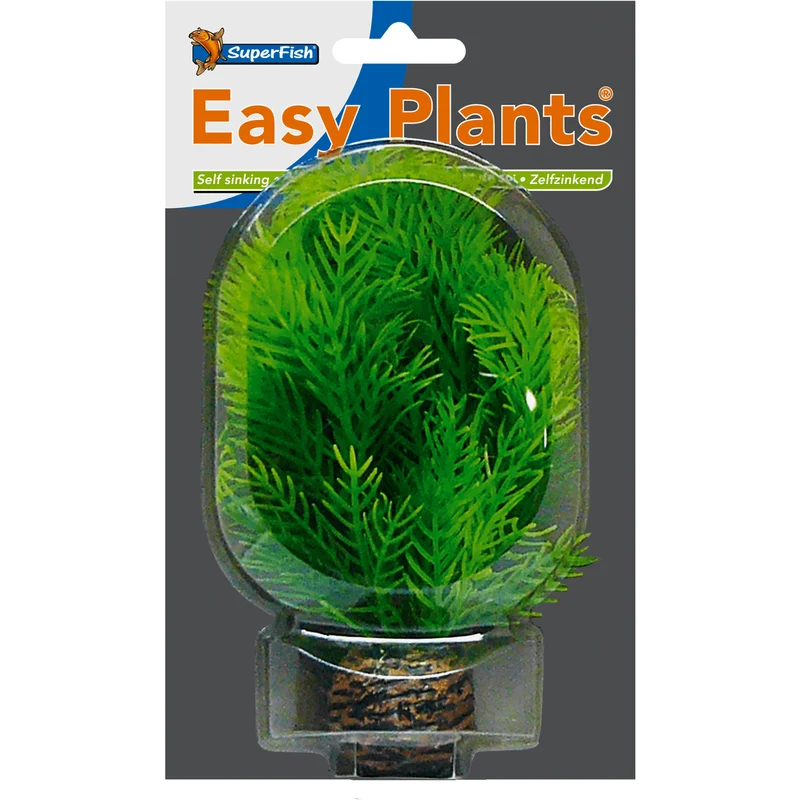SF Easy Plant petite N°9 (13cm)