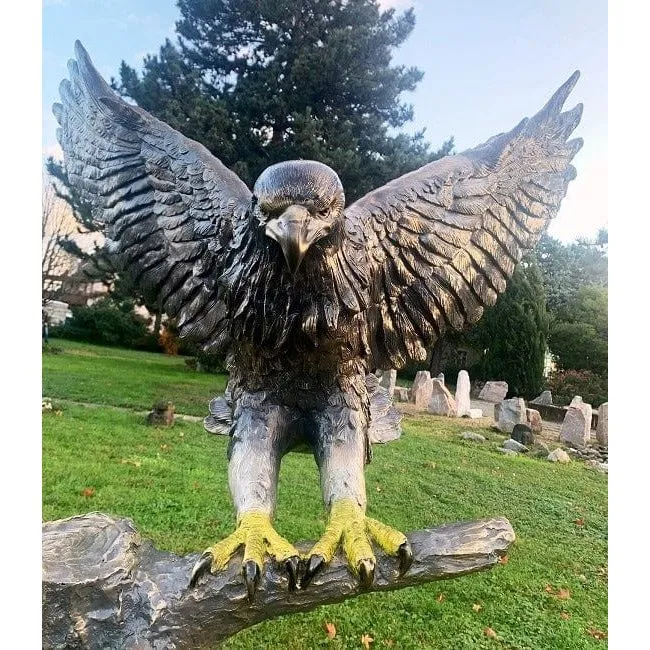 Weißkopf-Seeadler mit Bronze-Stamm