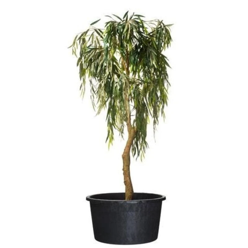 Victoria - Conteneur rond fond avec trous de drainage et poignées - 50L - H36 x Ø53,5 cm