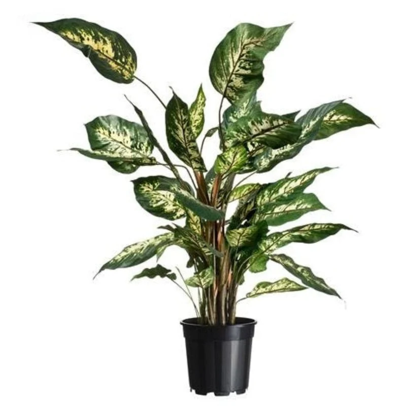 Conteneur fond 4 branches - 4,5l - H18,9 x Ø21 cm - 2 x