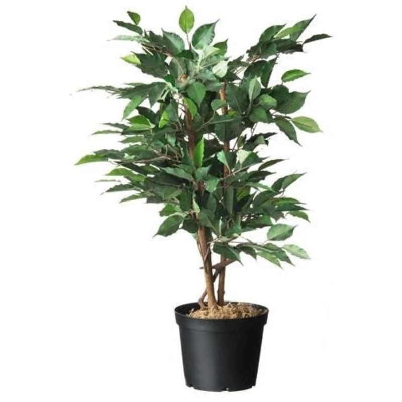 Conteneur fond plat avec trous de drainage - 10l - H22 x Ø28,4 cm