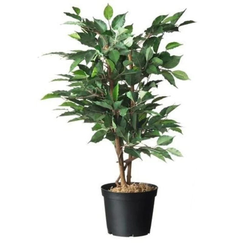 Conteneur fond plat avec trous de drainage - 4l - H17 x Ø21 cm - 3 x