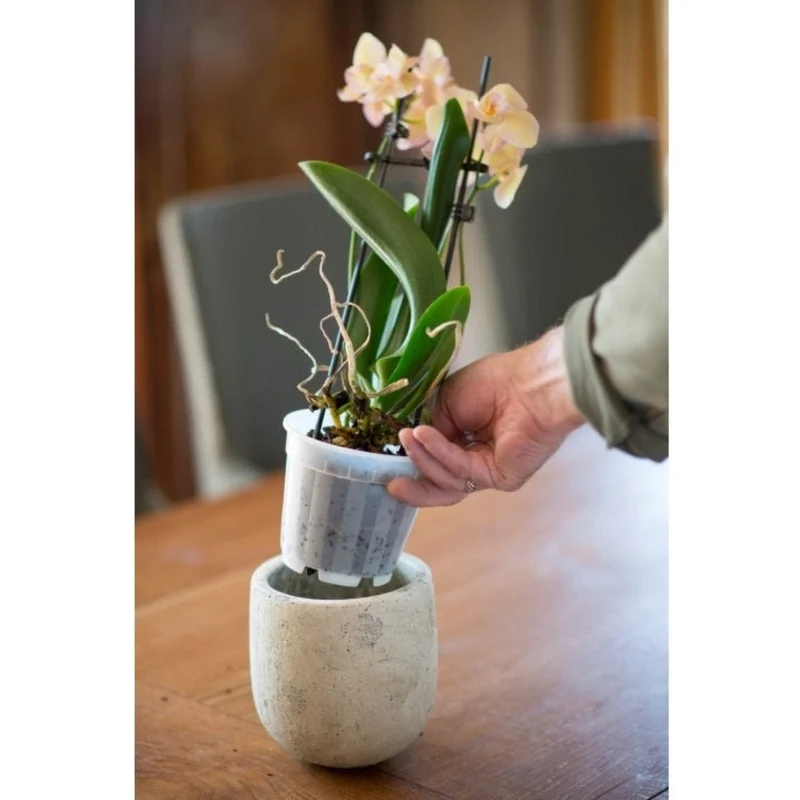 Pot pour plantes orchidées transparent - Ø13 cm