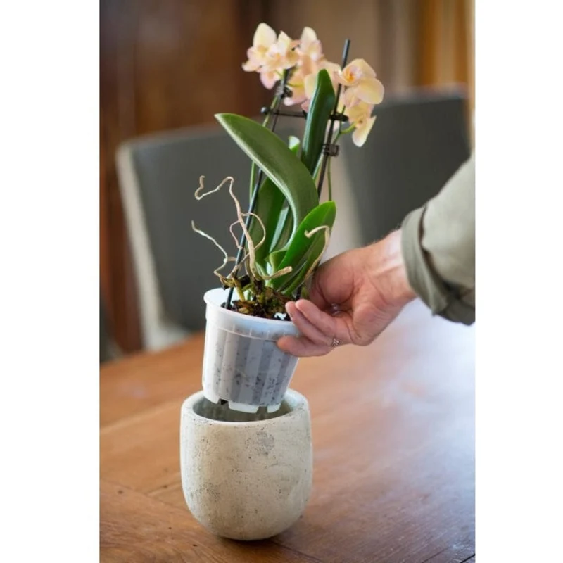 Pot pour plantes orchidées transparent - Ø12 cm