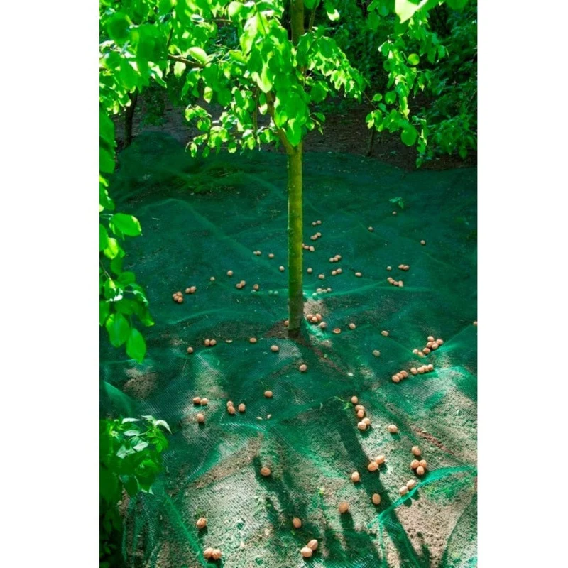 Filet de ramassage fruits et feuilles mortes – PE, 4 œillets, vert, maille 8x8 mm, 48 g/m² - 4,3 x 4,3 m