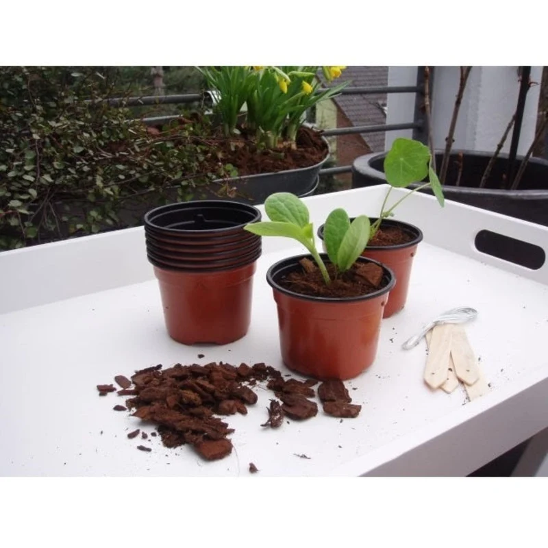 Pots de bouturage en polypropylène - H7 x Ø9,5 cm - 8 x