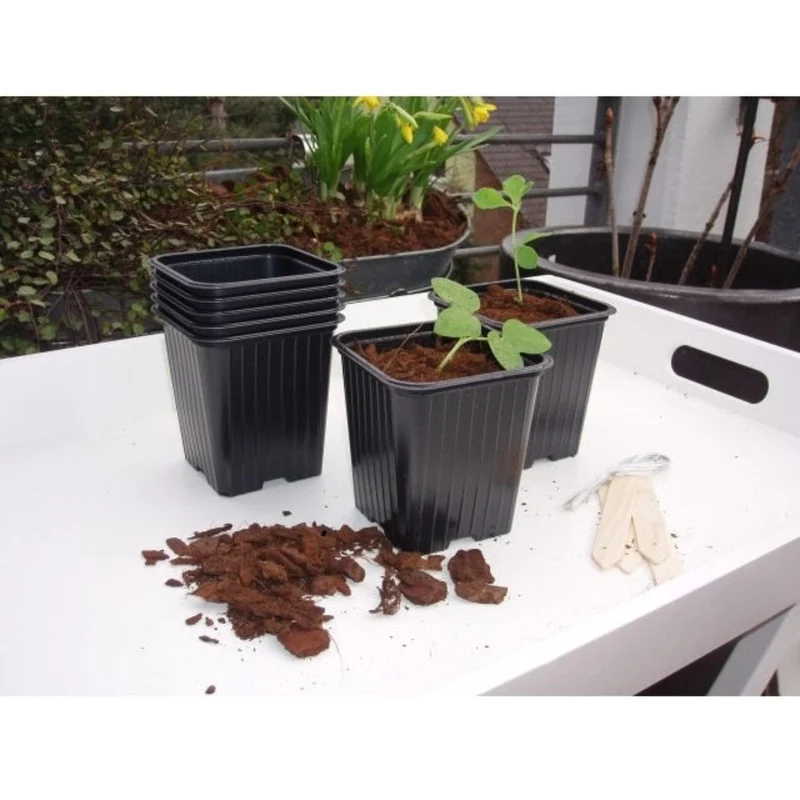 Pots de bouturage en polystyrène - H9,5 x 9 x 9 cm - 7 x\