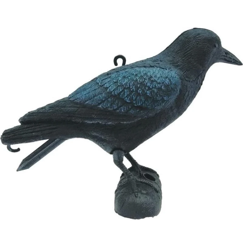 Corneille - H27 cm