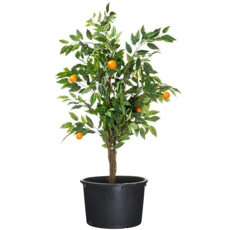 Victoria 60 - JP container 90l 36x68cm - Cuvelle pour plantes de grandes tailles ou grands nénuphars
