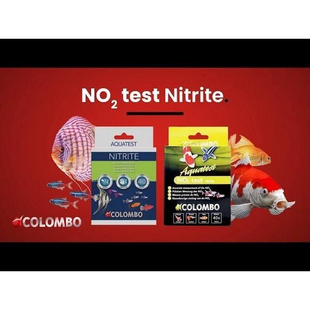 COLOMBO NO2 TEST - Test nitrite pour bassin & aquarium