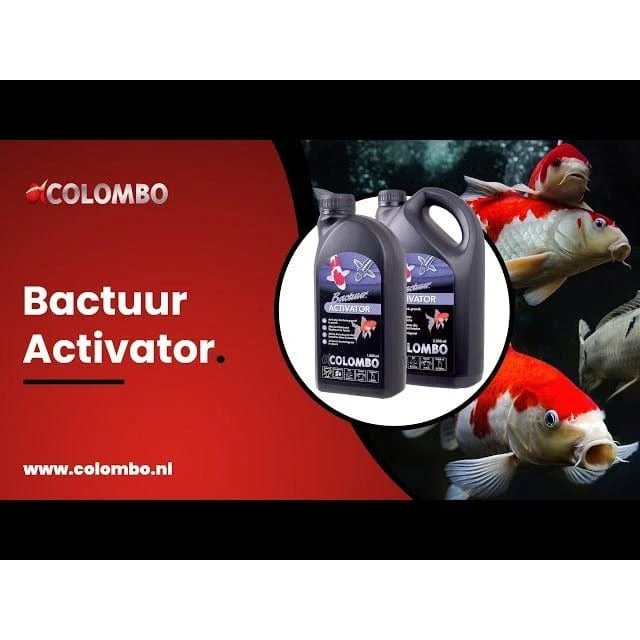 COLOMBO BACTURE ACTIVATOR 2500 ML