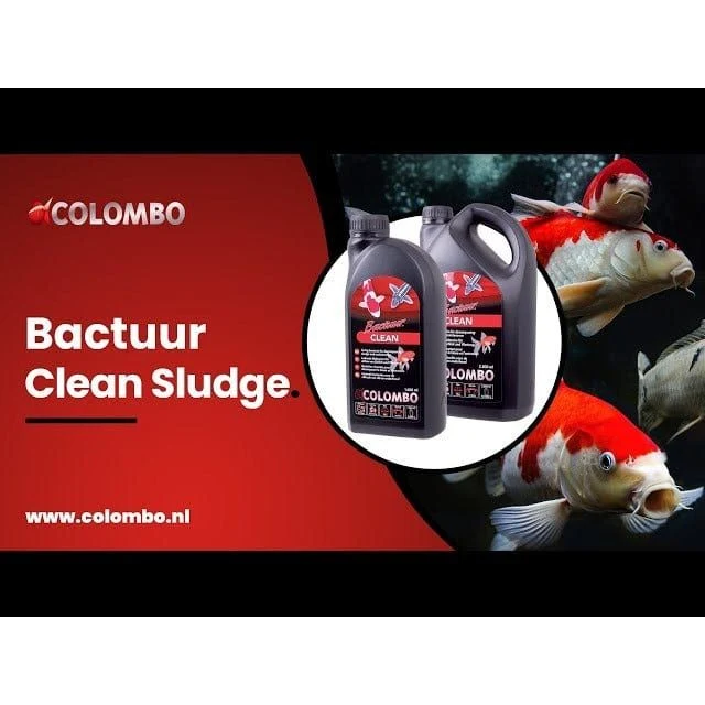 COLOMBO BACTURE CLEAN 1000 ML