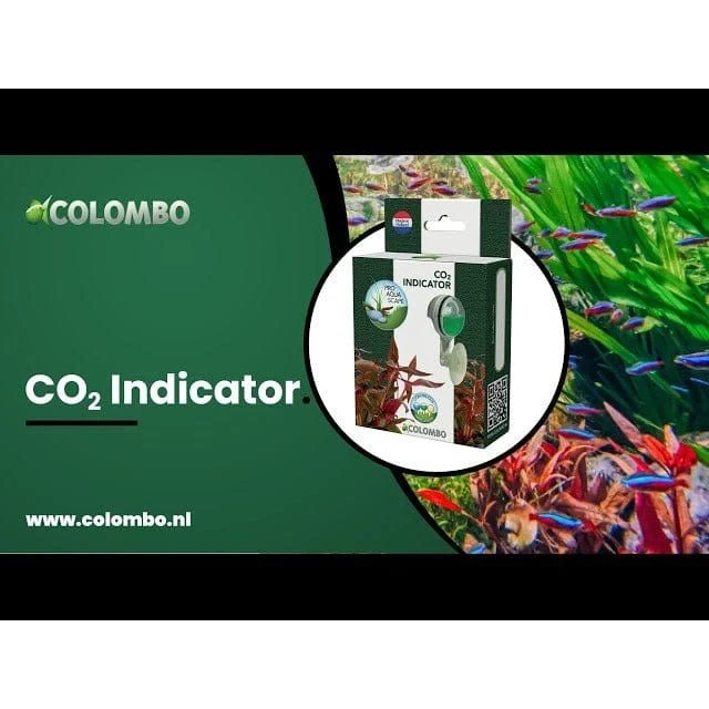 COLOMBO CO2 INDICATOR