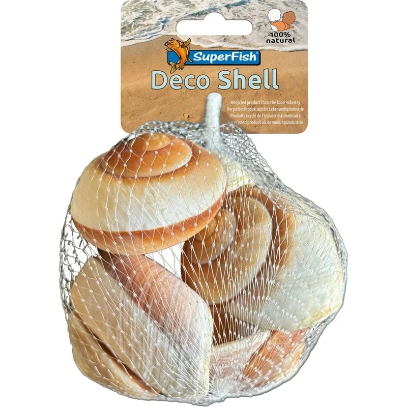 SF DECO SHELL SNAIL BROWN-WHITE 170 GRAM