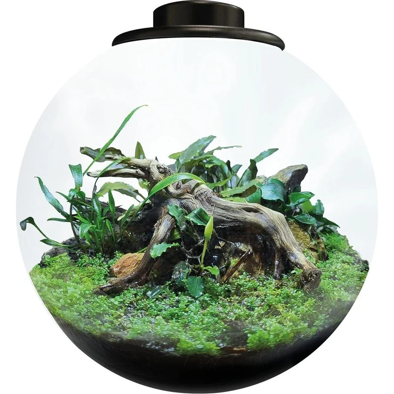 BIOART BOWL 225 BLACK