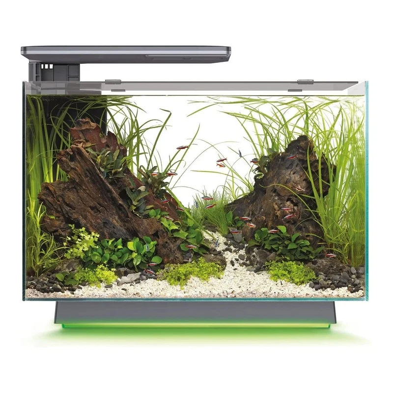 SF QUADRO 70 MULTI COLOUR BLACK