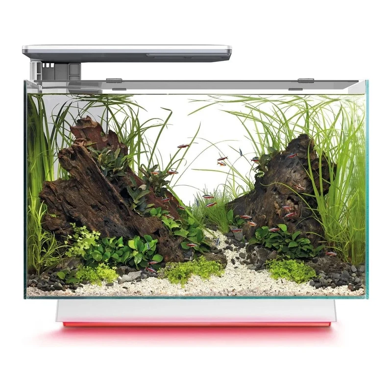 SF QUADRO 70 MULTI COLOUR WHITE