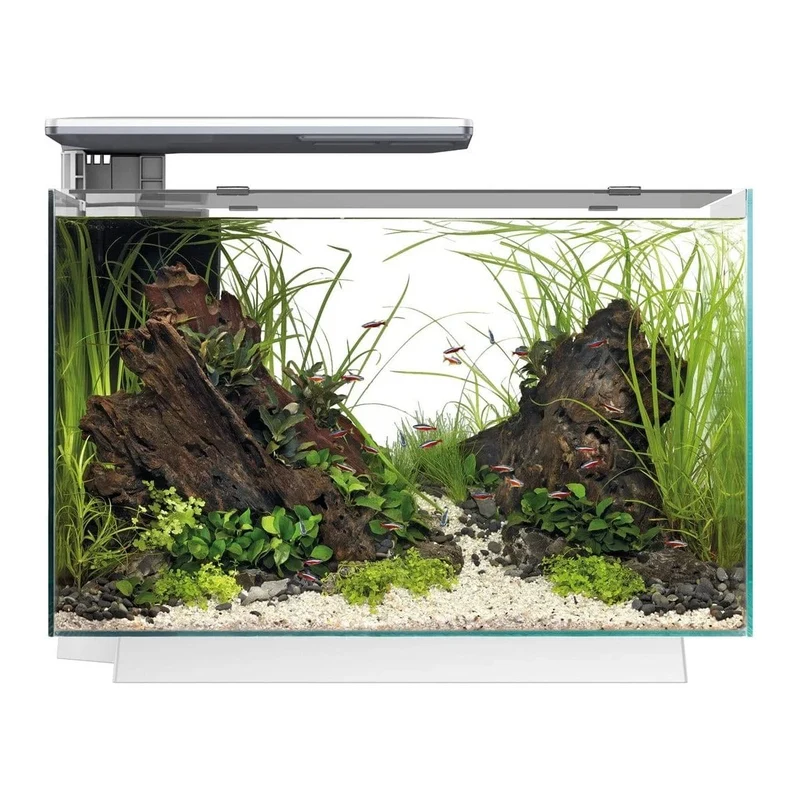 SF QUADRO 70 PRO WHITE