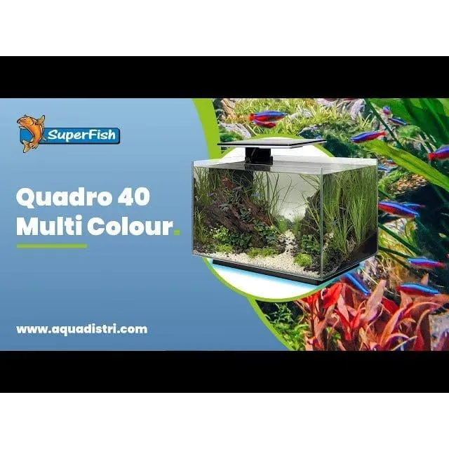 SF QUADRO 40 MULTI COLOUR BLACK