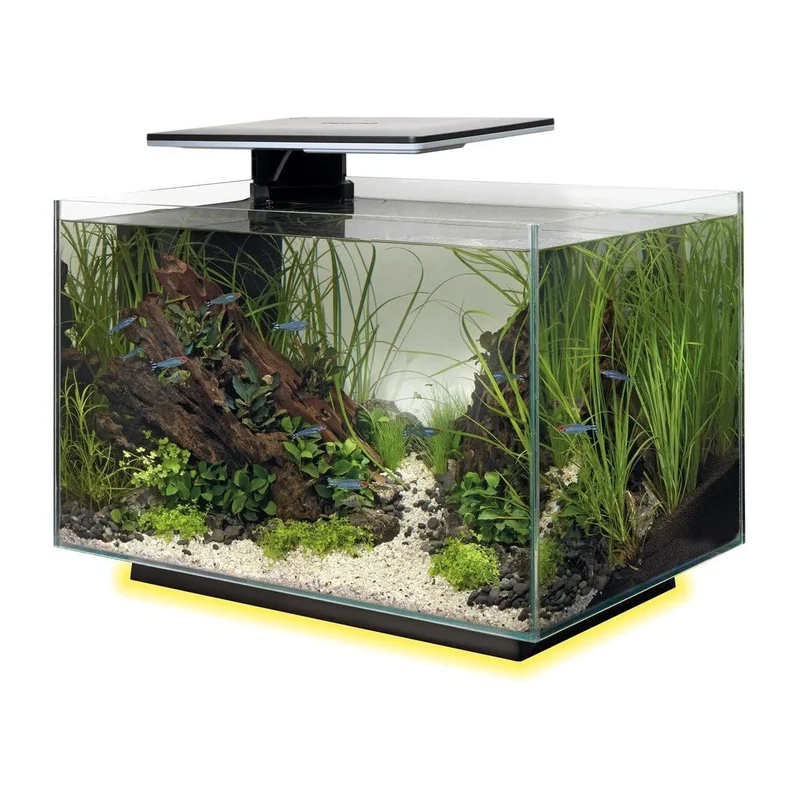 SF QUADRO 40 MULTI COLOUR BLACK