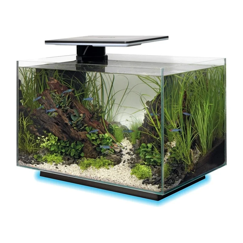 SF QUADRO 40 MULTI COLOUR BLACK