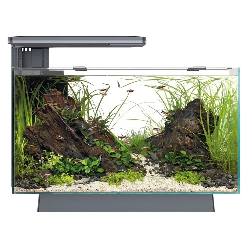SF QUADRO 40 PRO BLACK