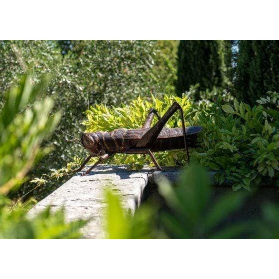 Sauterelle – XL - Insecte décoratif en métal recyclé
