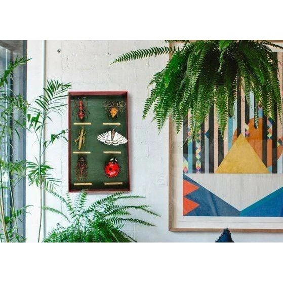 Tableau d’entomologiste insectes - Insecte décoratif en métal recyclé