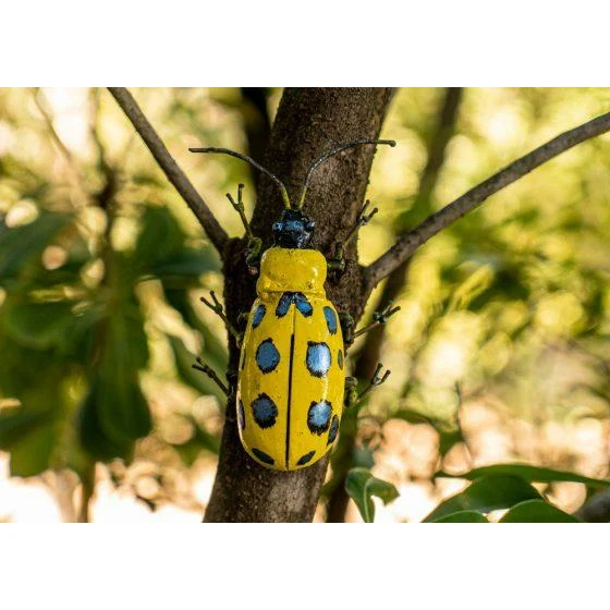 Concombre à poids - Insecte décoratif en métal recyclé