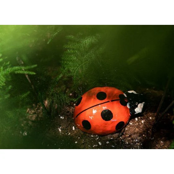 Coccinelle PM - Insecte décoratif en métal recyclé