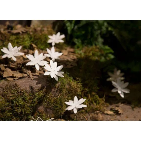 Nigelle de Damas – set 10 - Végétal décoratif en métal recyclé
